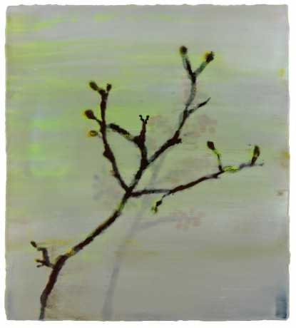 Mos 2011 Mos 56 x 51 cm encaustiek op houtpaneel