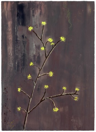 Toverhazelaar 2011 Toverhazelaar 126 x 91 cm encaustiek op houtpaneel