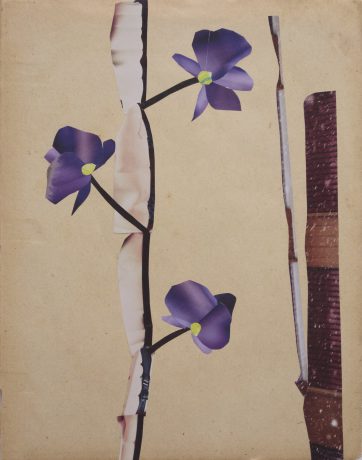 Orchidee 2014 collage op antiek papier 28 x 22,5 cm