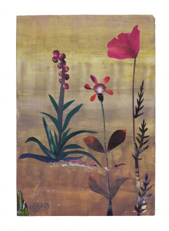 De Botanisten 2018 59 x 41 cm collage on painted paper